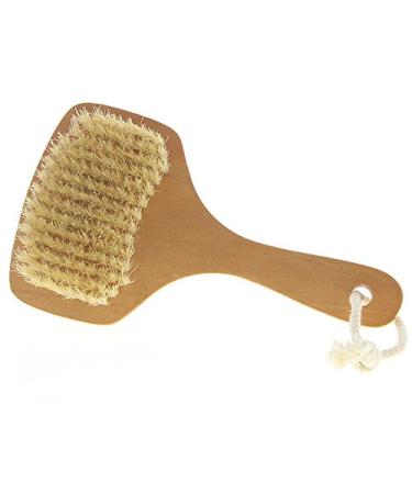 Square Bath Brush for Soothing Massage | Practical Sauna Brush - International Shipping Available - Buy Online on GoSupps.com