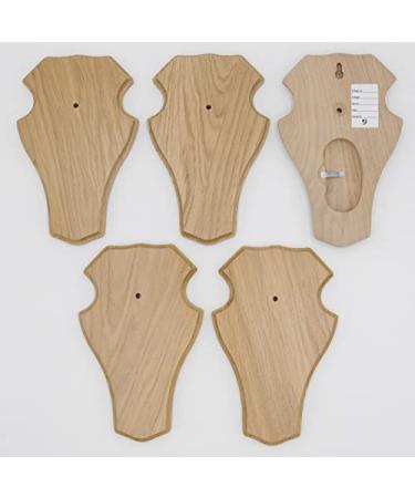 5 pieces REH trophy signs stump large light oak with 1 pine compartment AF 21 x 13 cm - Buy Online on GoSupps.com