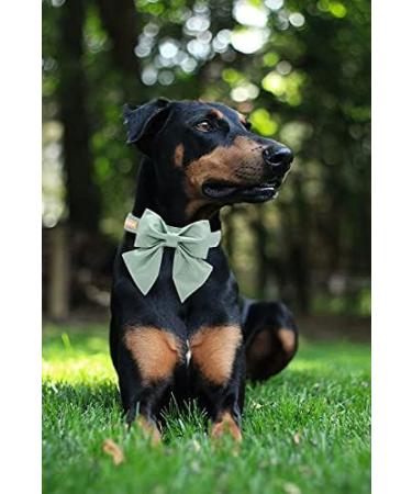 Unique Silk Green Dog Halter - Stylish & Durable Wedding Accessory for Medium Dogs - Buy Online on GoSupps.com