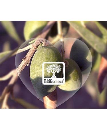 Buy BIOselect Cretan Remedy Dictamelia Beeswax Ointment (15ML) - Best Natural Skin Care for International Shipping - Buy Online on GoSupps.com