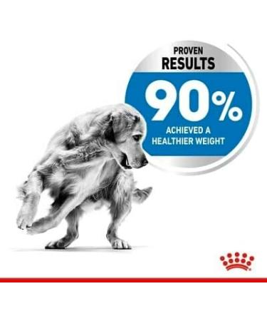 Royal Canin Maxi Light Weight Care Adult Dry Dog Food 12kg - Buy Online on GoSupps.com
