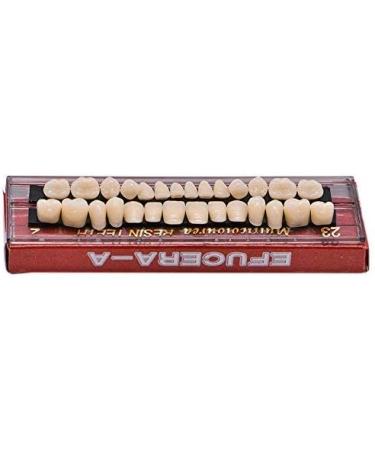 Angzhili 56 Pc Dental Synthetic Acrylic Teeth Resin Denture 2 Set False Teeth for Halloween Horror Prop 23 A2 (28 Pcs/Set) - Buy Online on GoSupps.com