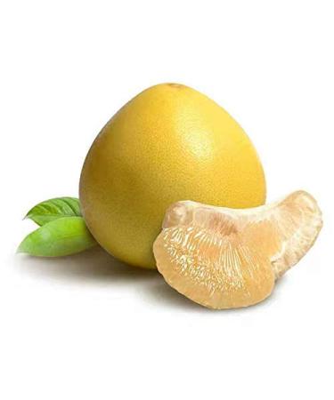 Buy Share Pomelozzini - Fermented Grapefruit for Detox & Colon Cleansing - 20 Pieces Basic Package - International Shipping - Buy Online on GoSupps.com