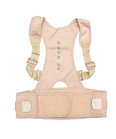 Back Posture Corrector Adjustable Shape Body Shoulder Brace Belt Men Women Vertebrae Correct Improve Support Posture Back Strap (Color : XL) (M) vision