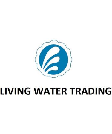 Synmax Black Vinyl Exam Gloves 4 Mil - Case of 1000 (Large, Black) | Latex-Free, Powder-Free Safety Medical Glove - Buy Online on GoSupps.com