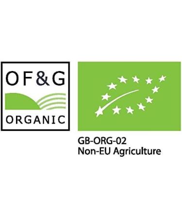 Kombuchaorganic Certified Organic Large (5 Litre) and Mature Beautiful Kombucha Scoby Starter Tea FREE Postal Service - Buy Online on GoSupps.com
