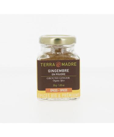 TERRA MADRE Organic Ginger Powder 30g - India