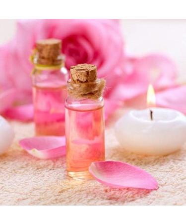 Nature of Agiva Roses de Bulgaria nourishing cream with natural rose water and vitamin complex A + E - Buy Online on GoSupps.com