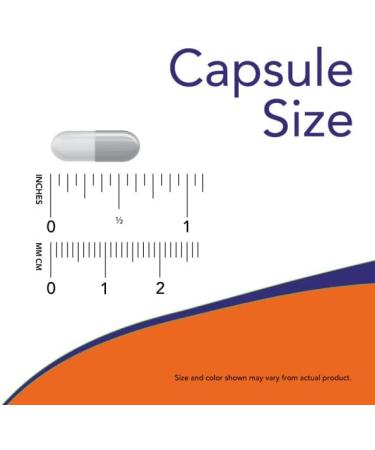NOW Dairy Digest Complete - 90 Veg Capsules | Digests Lactose, Dairy Proteins, and Fats - Dairy Tolerance Enzymes - Buy Online on GoSupps.com