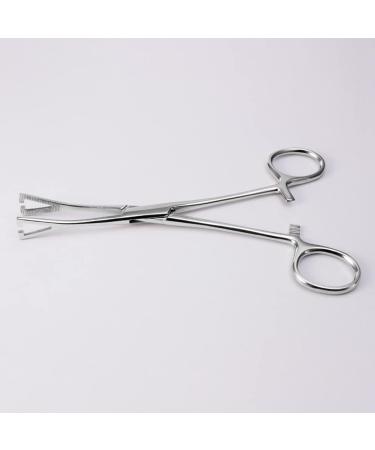 ciyeu Triangle Opening Plier Clamp Piercing Forcep Tool Stainless Steel Body Piercing Plier Body for Ear Lip Nose Tongue - Buy Online on GoSupps.com