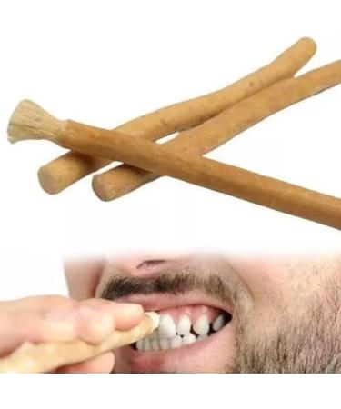 Miswak - 100% Natural & Herbal Chewing Stick Toothbrush Roots Twigs Stem Datun Salvadora Persica Ancient Remedy Dental Care Oral Hygiene Healthy Teeth & Gums Fresh Breath Pack - 3/5 / 10 Pack of 10 - Buy Online on GoSupps.com