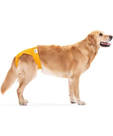 Shop Lills Fuse Pants for Women - Organic Cotton Washable Flexible Closure Extra Absorbent | XS to XXL - Amber Yellow - Buy Online on GoSupps.com