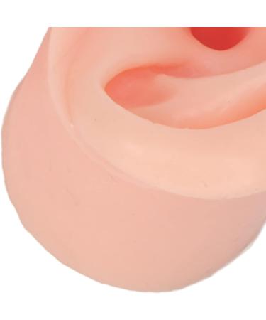 Practice Ear Model Soft Elastic Jewelry Display 1 Pair Ear Model for Beginner for Piercing Salon(Light Skin Color) - Buy Online on GoSupps.com