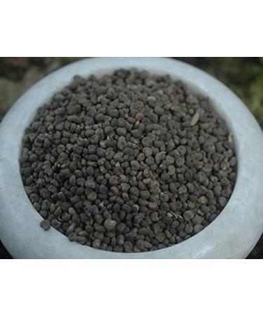 Krauterino24 - Abelmoschus seeds whole quantity: 100g
