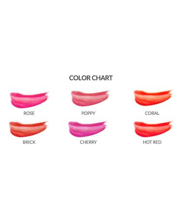 La Muse Deep Color Lip Balm 4.5g (Brick) - 86% Off | EXP 2023-07-15 - Buy Online on GoSupps.com