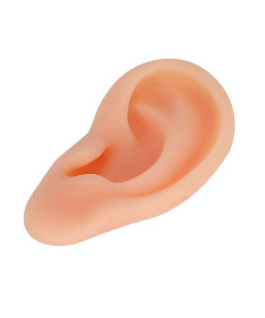 Silicone Left Ear Acupuncture Practice Model - Professional Massage Teaching Tool - Buy Online on GoSupps.com