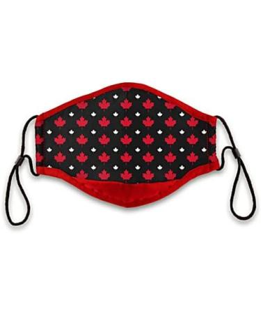 Canadian Pride Non-Medical Face Mask Set Featuring 4 Patriotic Designs That Includes A Free Bradford Exchange Zippered Carrying Case - Buy Online on GoSupps.com