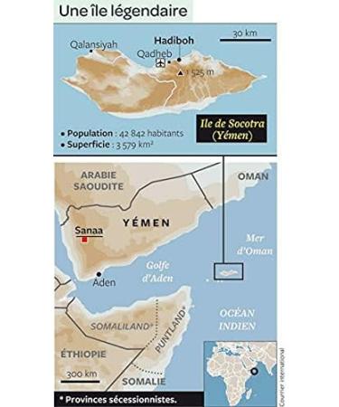 Yemen Socotra Honey Pure Honey Premium Quality Net Weight 250g (World Heritage Island) - Buy Online on GoSupps.com