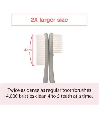 Wangta Soft Toothbrush 10 Pack - Best Manual Toothbrush for Sensitive Gums & Teeth | Efficient Cleaning | International Shipping - Buy Online on GoSupps.com