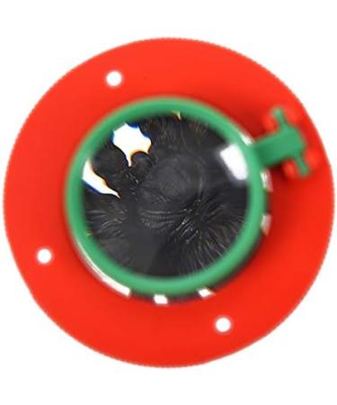 piuryue 4X Two Lens Insect Viewer Locket Box Magnifier Bug Magnifying Loupe Kid Toy - Buy Online on GoSupps.com