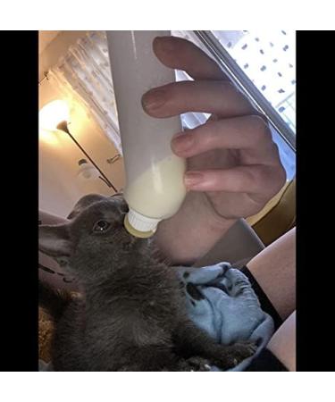 Gufastoe 5pcs Pet Feeding Original Silicone Nipple with Bottle for Puppy Dog Cat or Other Pets (Model 5) - Buy Online on GoSupps.com