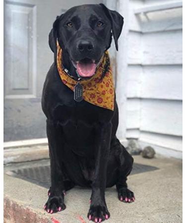 Warren London Pawdicure Nail Polish Pens Pink 0.16 OZ - Buy Online on GoSupps.com