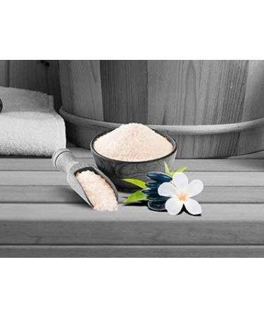 Frankonia Bath & Spa Sauna Salz Peeling - Mango Peach 400g | Vegan Sea Salt Body Scrub with Jojoba Oil & Vitamin E | Paraben-Free Shower & Body Peeling for All Skin Types - Buy Online on GoSupps.com