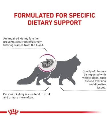 Royal Canin Veterinary Renal | Pack of 3 | 3 x 400g | Complete Dietary Food for Adult Cats | for Support in Kidney Problems - Buy Online on GoSupps.com
