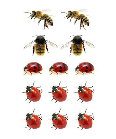 SanerLian Bee Ladybug Temporary Tattoo Stickers - Set of 12 | Waterproof Cartoon Fake Tattoos for Kids | Ideal for Hand, Arm, Party Favors - Buy Online on GoSupps.com