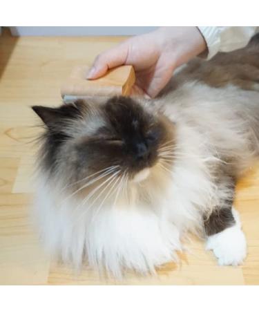 Disadriculation Brush for Dogs Cats Horses & Goats | Small 3-Inch Tool for Underfell Scales & Flakes Removal - Essential Grooming for Pets & Farm Animals - Buy Online on GoSupps.com