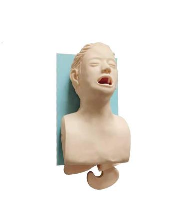 Manikin Teaching Model for Airway Management | Electronic Intubation Trainer | Ideal for Science Lab Education - Buy Online on GoSupps.com