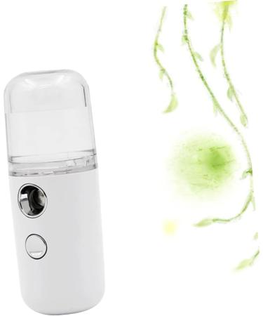 DOITOOL 1 Pc brumisateur facial pulv risateur nanom trique mini pulv risateur facial mini-humidificateur humidificateur d'air humidificateur portatif vaporisateur outil Maruko blanche 10cmX4cm Blanc - Buy Online on GoSupps.com