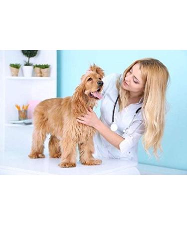 Puppy Kitten Whelping Kit Whelping Kit with Feeding Nipple Bottle Stethoscope Scissors Cord Clamps Aspirator etc Full kit - Buy Online on GoSupps.com