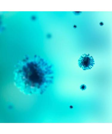 D.PLANTES - Vitamine D3 2000 UI - Compl ment Alimentaire en Spray - Immunit Ossature Normale - Boost en Vit. D - Issue de la Lanoline- 3 x 20 ml - Buy Online on GoSupps.com