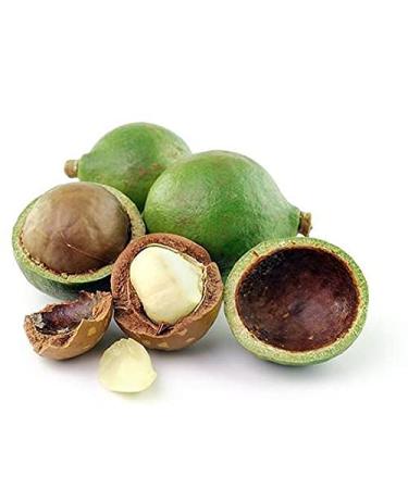 Tamanu Oil 4 oz - 100% Pure Cold Pressed Vegan Carrier Oil for Face Hair & Skin - Non-GMO Moisturizer & DIY Skincare - OPO - Buy Online on GoSupps.com