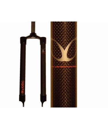 Exotic hotsell rigid fork
