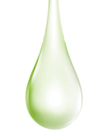 Earth To Skin Green Tea Anti-Aging Face Toner - 4.9 fl oz - Buy Online on GoSupps.com