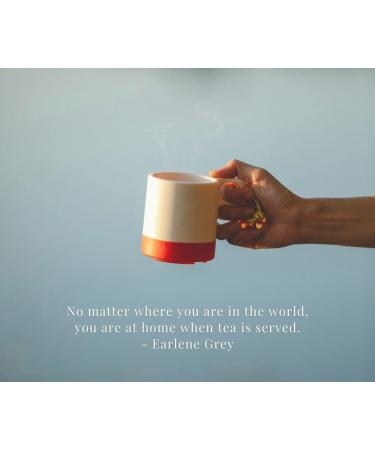  Higher Living Higher Living Rooibos Caramel Tea Bags Pack of 20 - Buy Online on GoSupps.com