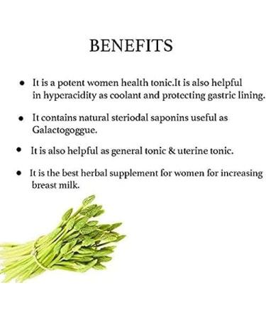 Shatavari Powder | Breastfeeding & Women's Health Tonic | Herbal Supplement (200g / 7 Oz) | Uterine Tonic, Promotes Strength | Non GMO, Gluten Free - Buy Online on GoSupps.com