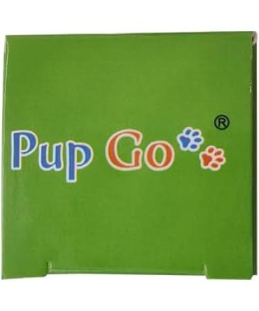 PUP Go Children's Dinosaur Projector Flashlight - 24 Images Educational Science Gift for Kids Ages 3+ - Fun History Slide Show Beamer Toy - Buy Online on GoSupps.com