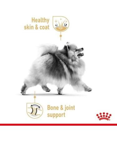 Royal Canin Pomeranian Complete Adult Wet Dog Food 24 x 85g - Buy Online on GoSupps.com