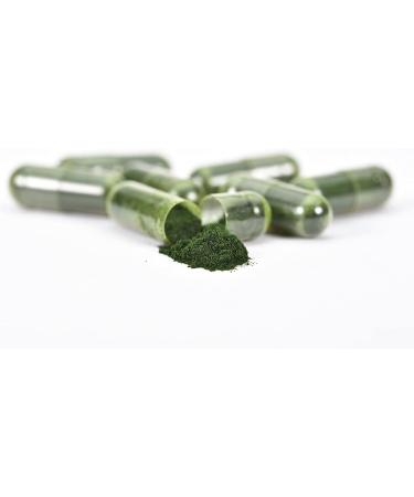 Mr. Ros Marine Phytoplankton Energy Supplements - All in One Superfood Capsules - Natural Vitamin and Energy Boost - 90 Pill Capsules - Buy Online on GoSupps.com