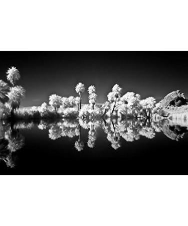 Ice IR 49mm 760nm Slim Infrared Filter - High-Quality Optical Glass - Buy Online on GoSupps.com