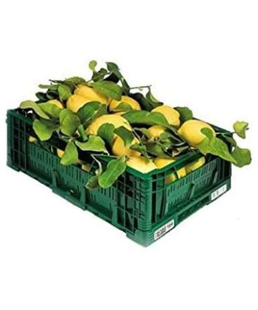 L'Idaeale Farm Untreated fresh lemons untreated lemons 9 kg edible peel guaranteed Giardino Digital Products in Calabria Made in Italy