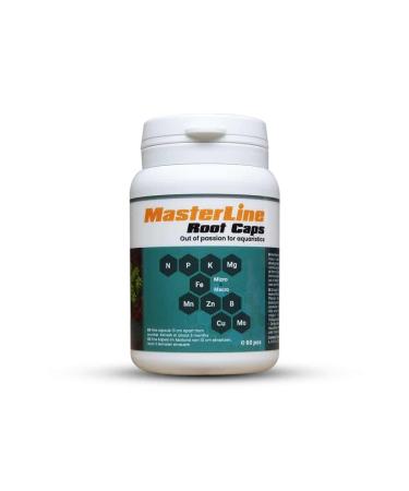 Masterline root caps 60 pcs.