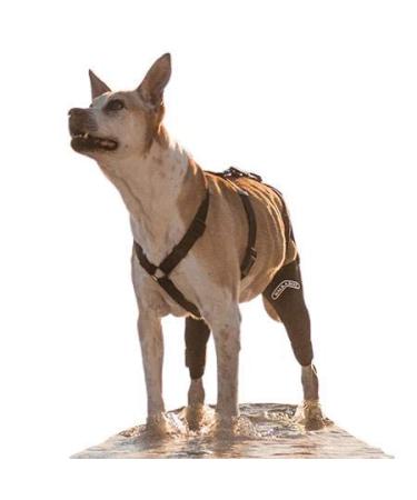 Walkabout Double Knee Brace + Chest Halter Combo Treat CCL and Other Canine Joint Injuries with this Vet-Recommended Compression Brace Built for Immediate Support and Rapid Relief Best Used for Pre/Post Operative Rehabilitation or as an Alternative To Cos