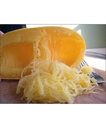 100 semi Spaghetti Squash Zucca invernale 70 giorni