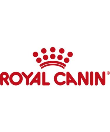 ROYAL CANIN Urinary S/O Moderate Calorie Wet Dog - 12 x 100g - Buy Online on GoSupps.com