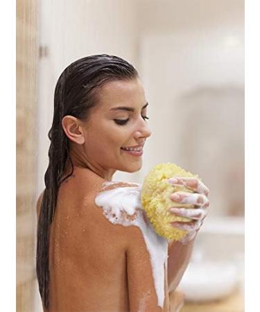 Constantia Beauty Premium Natural Sea Wool Sponges - Luxury Bath & Shower Gift Set - Soft Real Sponges for Facial Cleansing - Large & Medium Sizes - Buy Online on GoSupps.com