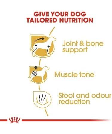 Royal Canin Dachshund Adult Breed Dry Dog Food 7.5kg - Buy Online on GoSupps.com